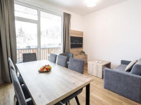 Apartment for 6 in Fieberbrunn